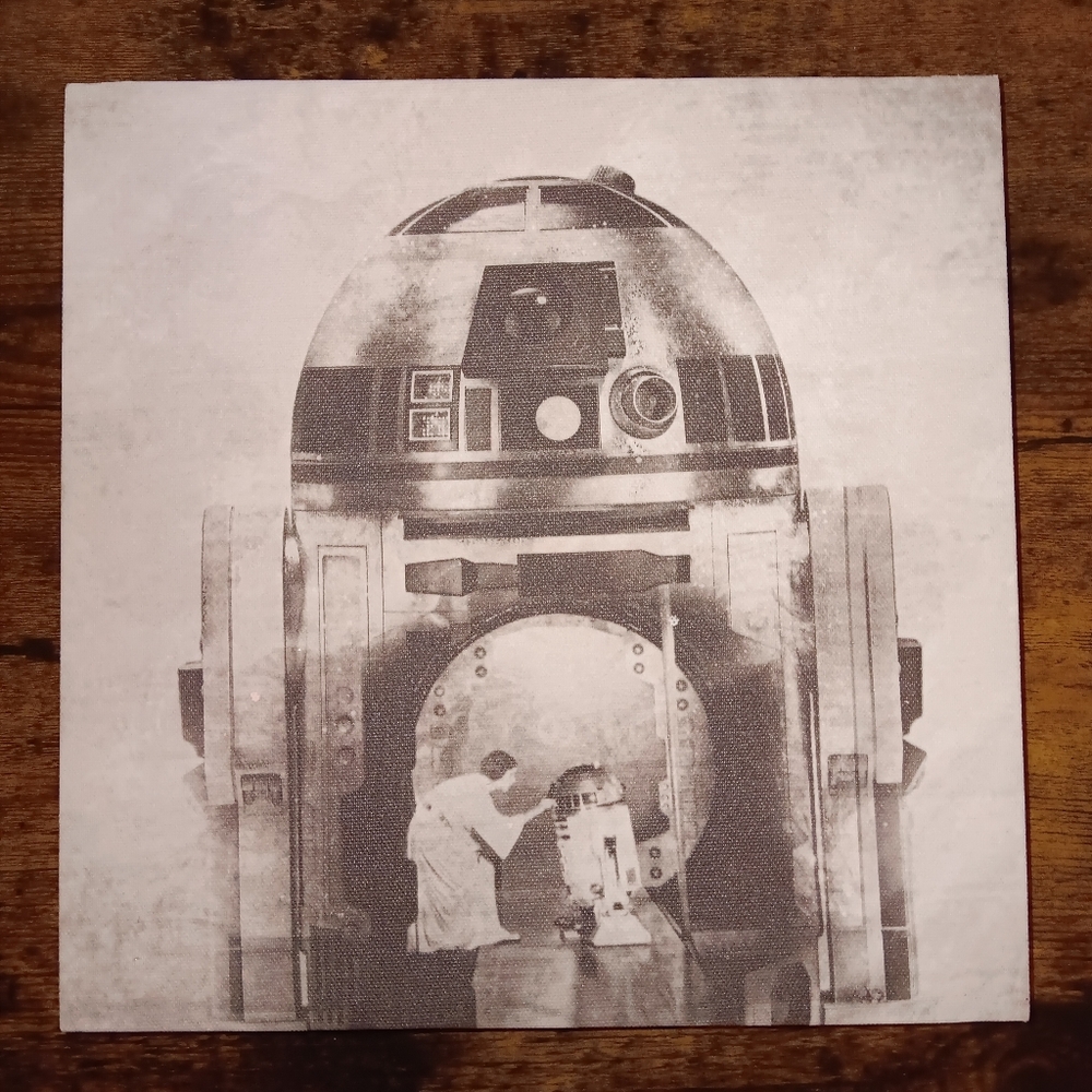 Star Wars R2-D2 And Princess Leigh Square Canvas Art Print 10 X 10 Starwars